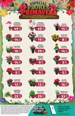 Catálogo Bahamas Supermercados (válido até 27-09)