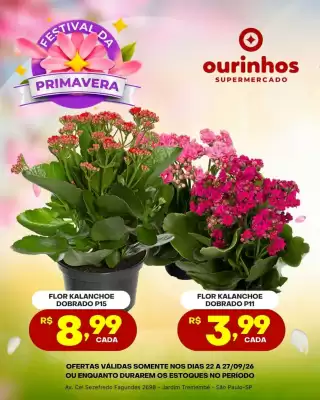 Catálogo Ourinhos Hipermercado (válido até 27-09)