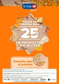 Folleto Carrefour Página 13