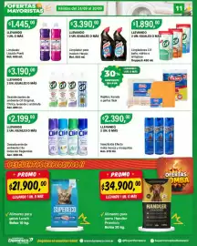 Catálogo Supermercados Damesco semana 39 Página 10