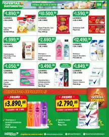 Catálogo Supermercados Damesco semana 39 Página 8