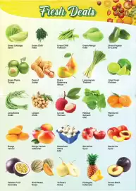 Day To Day catalogue Page 13