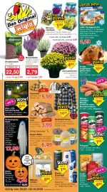 Wiglo Wunderland Prospekt woche 40 Seite 1