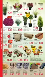 Wiglo Wunderland Prospekt woche 40 Seite 8