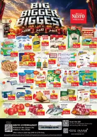 Nesto catalogue Page 1