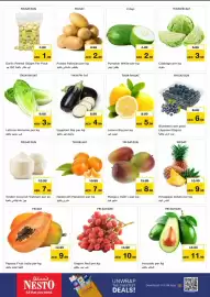 Nesto catalogue Page 11