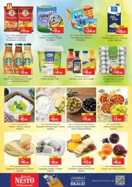 Nesto catalogue Page 8