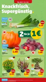 PENNY Prospekt woche 40 Seite 4