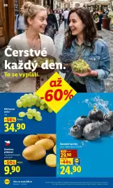 Lidl leták Strana 12: BÍLÉ HROZNY STOLNÍ €34,90, Brambory přílohové €9,90