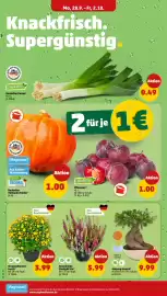 PENNY Prospekt woche 40 Seite 4