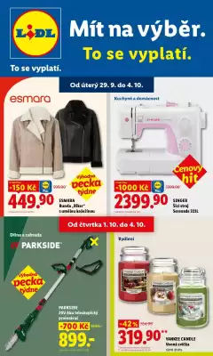 Lidl (platné do 4-10)