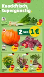 PENNY Prospekt woche 40 Seite 4