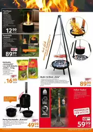 Selgros Prospekt woche 40 Seite 15