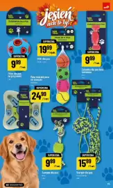 Polomarket gazetka Strona 15