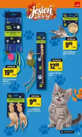 Polomarket gazetka Strona 19