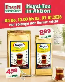 ETSAN Flugblatt Seite 1