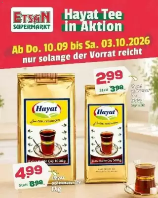 ETSAN Flugblatt (gültig bis 3-10)