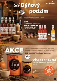 Adam leták Strana 31