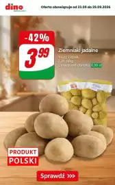 Dino gazetka Strona 4