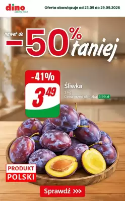 Dino gazetka (ważność do 29-09)