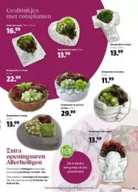 Intratuin folder Pagina 13: Rotsplanten in schaal €22,99, Rotsplanten in pot met hartjes €29,99