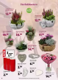 Intratuin folder Pagina 14: Herfstplantenmix in schaal €17,99, Herfstplantenmix in gevouwen handen €12,99