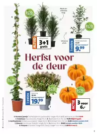Intratuin folder Pagina 7: schaduw halfschaduw zon *Exclusief pot. ECO CHEQUES 4 ECO CHEQUES Maak een inheemse haag. * extra
