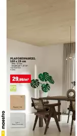 Hubo folder Pagina 6: maestro 6 PLAFONDPANEEL 120 x 19 cm - dikte: 10 mm - verpakt per 1,27 m². 1084728/977919 41,09/st