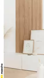 Hubo folder Pagina 8: 8 maestro Door calm