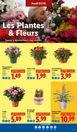 Catalogue Lidl semaine 40 page 29