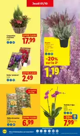 Catalogue Lidl semaine 40 page 30