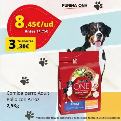 Tu Alteza (válido hasta el 19-10)