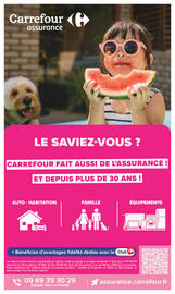 Catalogue Carrefour | JARDIN ET BRICOLAGE page 22