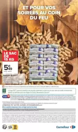 Catalogue Carrefour | JARDIN ET BRICOLAGE page 20