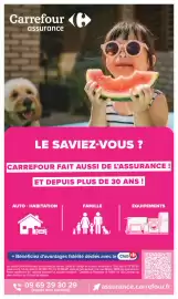 Catalogue Carrefour | JARDIN ET BRICOLAGE page 22