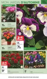Catalogue Carrefour | JARDIN ET BRICOLAGE page 3: Cyclamen €1,99, Rosiers €9,00