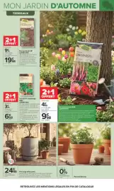 Catalogue Carrefour | JARDIN ET BRICOLAGE page 7: Pot tulipe effet granit €24,99, Deroma Pot brut €0,79