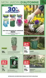 Catalogue Carrefour | JARDIN ET BRICOLAGE page 8: CARREFOUR Feutre de paillage €11,98, NORTENE Housse d'hivernage €9,99