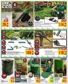 Volantino La Prealpina Pagina 4: Sempreverde ornamentale verticale €34,95, Trolley €19,95