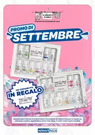 Volantino Mornati Paglia Pagina 10: PROMO DI IL BUCATO DI ADELE Il bucato che profuma di casa SETTEMBRE PAIGE LINEATO