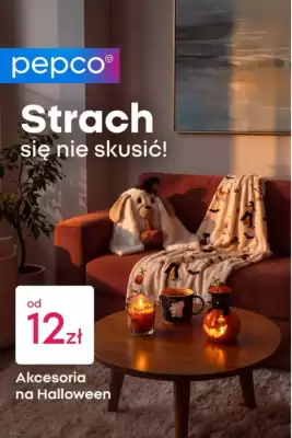 Pepco gazetka (ważność do 9-10)