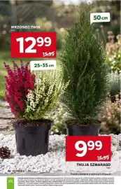Stokrotka gazetka tydzień 39 Strona 41