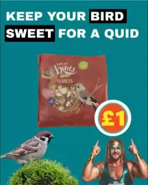 Poundland leaflet Page 2
