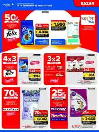 Folleto Carrefour Maxi semana 39 Página 11: Pet's class alimento perros humedo carne €851,00