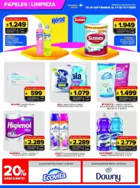 Folleto Carrefour Maxi semana 39 Página 4: Ecovita jabon liquido €1.499,00, Ala jabon polvo varias presentaciones €1.079,00