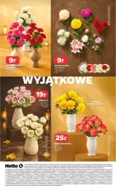 Netto gazetka tydzień 40 Strona 4: Wygenerowane przez Al + 95 Bukiet sztucznych goździków (różne kolory) wym. 19x40 cm 10