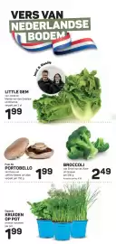Ekoplaza folder week 40 Pagina 14: Kruiden op pot €1,99, Broccoli €2,49