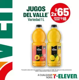 Catálogo 7-eleven Página 6