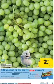 Carrefour folder Pagina 13: Witte druiven €2,99