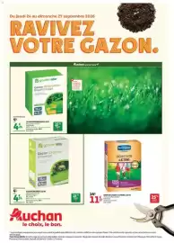 Auchan folder Pagina 1